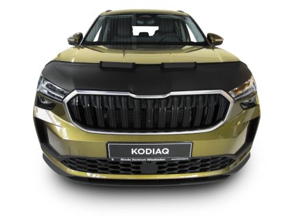 image 2025 09 29T211703.953