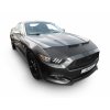 Ford Mustang 14 17 1