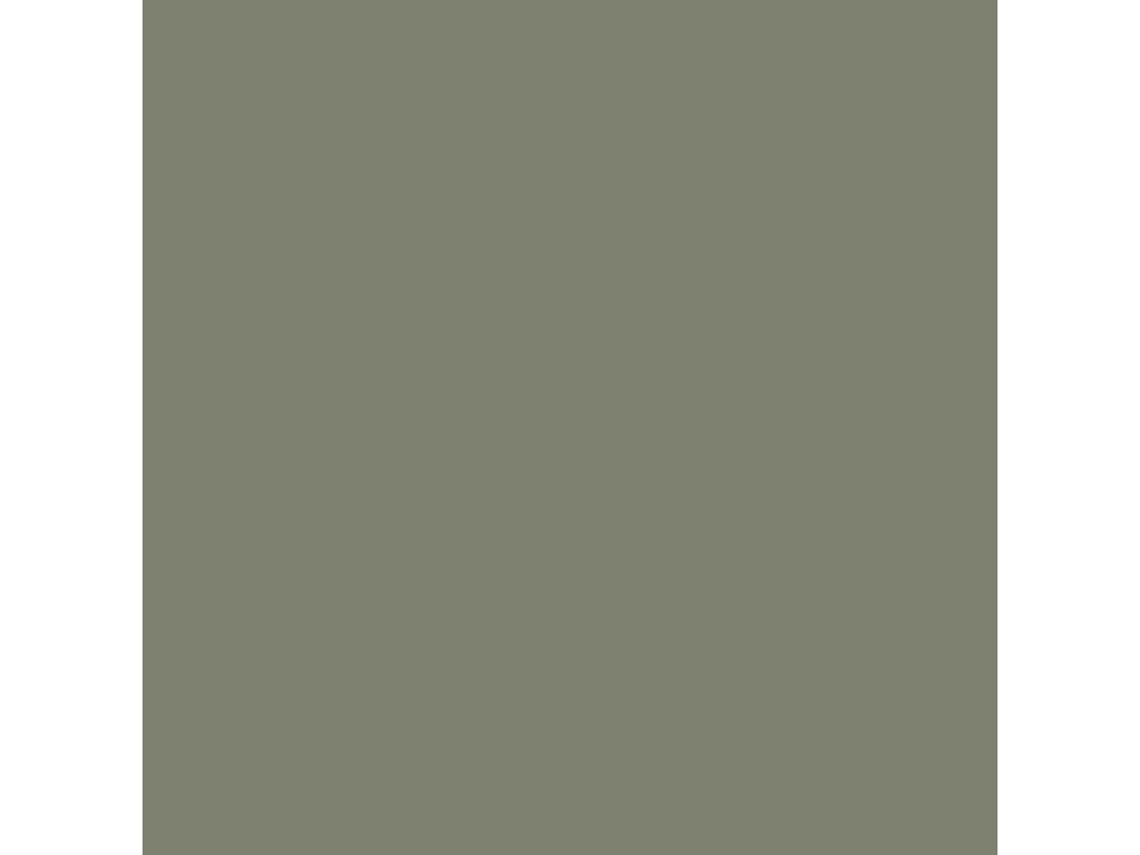Onecolor green forest
