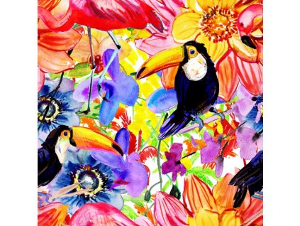 Toucan tropic