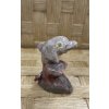 Delfin 1