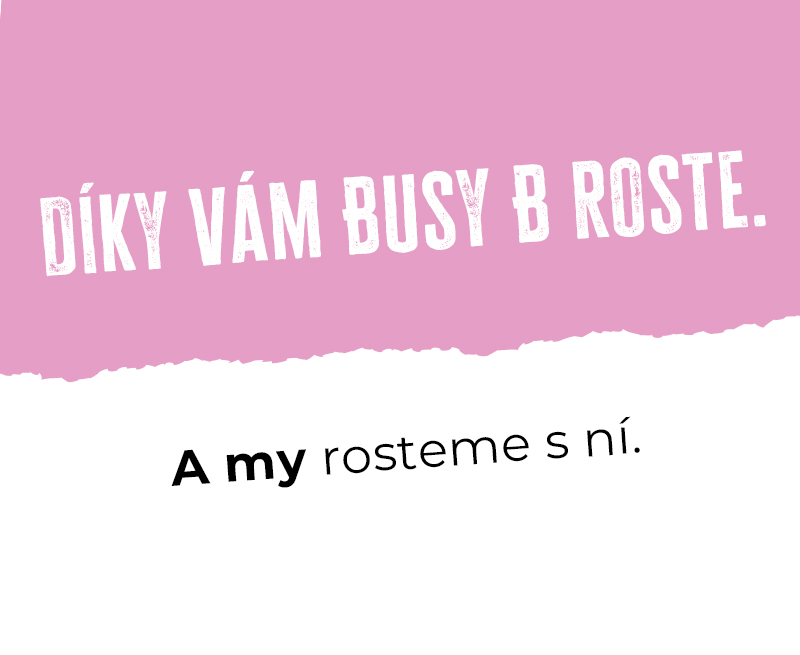 Letní nálož novinek