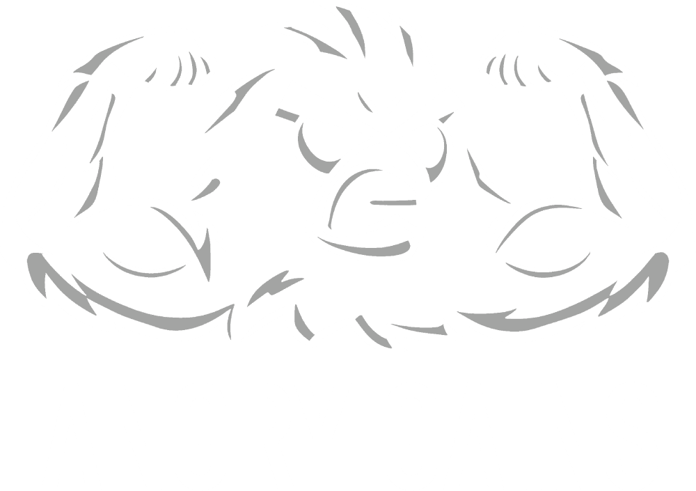 Angrygains.cz | Suplementy pro sportovce