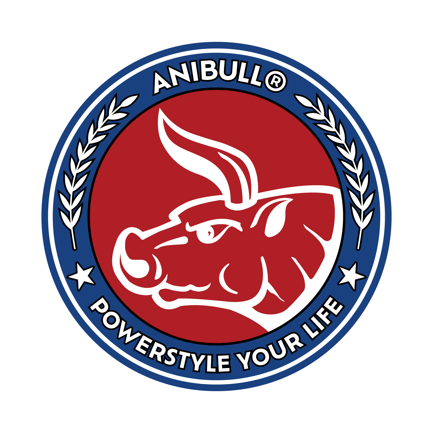 ANIBULL logo homepage