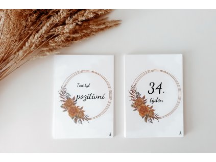 Těhotenské Milníkové kartičky BOHO