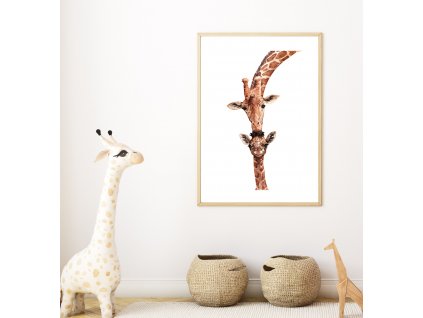 pusa žirafce