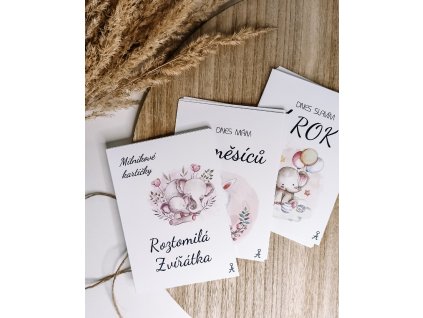 Milníkové kartičky Roztomilá zvířátka pro holčičku