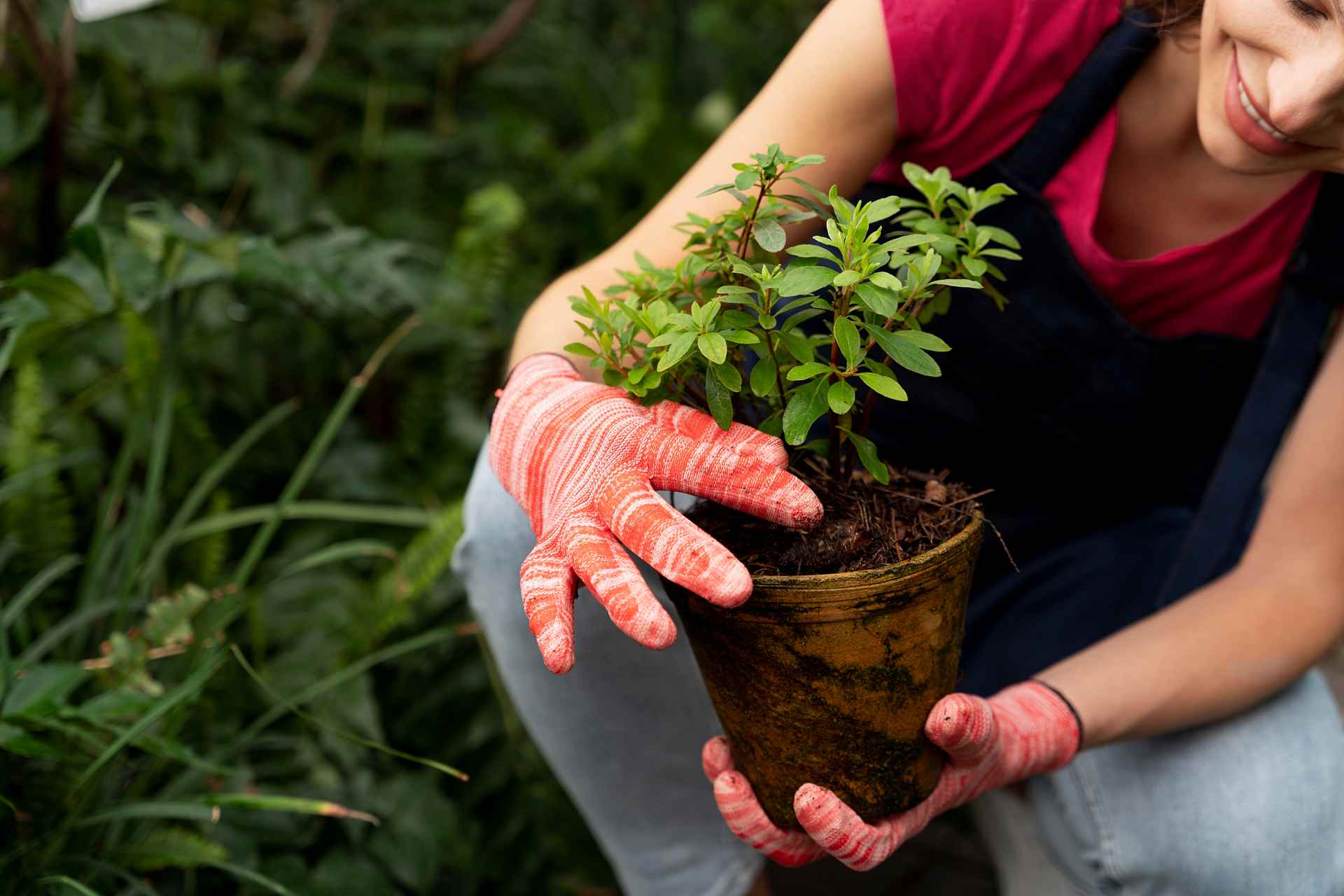young-woman-taking-care-her-plants_11zon