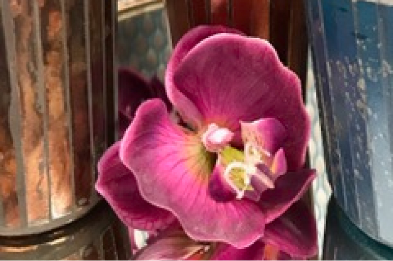 Garážový výprodej