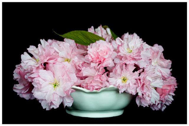 Výstava fotografií v ANIMADECOR