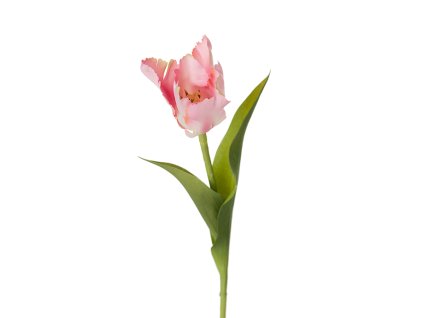 umela-kvetina-tulipan-strapaty