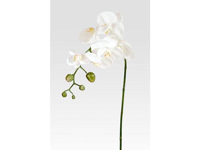 umela-kvetina-orchidea-bila-70cm