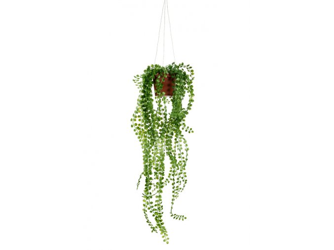 umela-rostlina-pilea-v-kvetinaci-62-cm