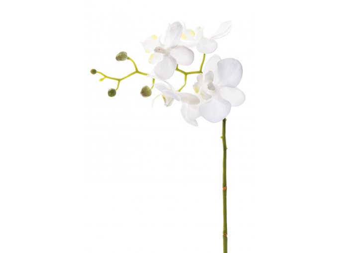 umela-kvetina-orchidea-stonek-28cm