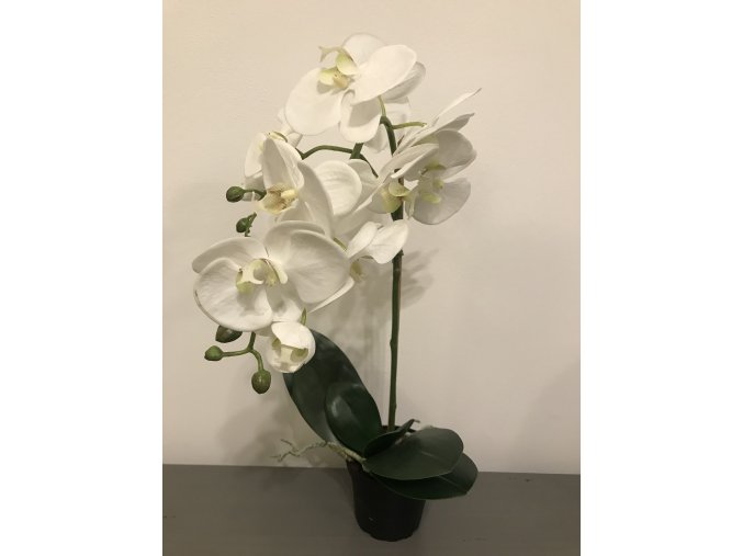 umela-kvetina-orchidea-bila-v-kvetinaci-60cm