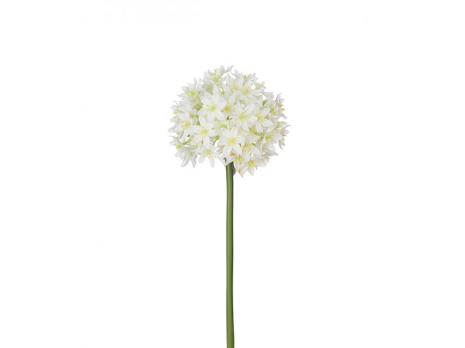 umela-kvetina-allium-cesnek-bily-90-cm