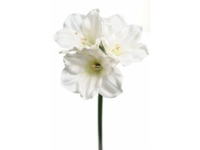 umela-kvetina-amarylis-bily-65cm