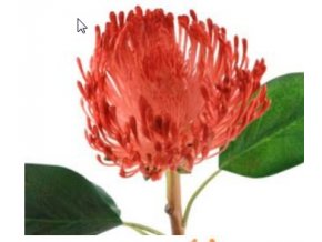 Umělá květina - Africká protea červená