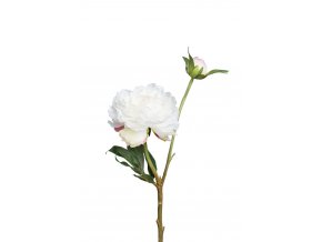 umela-kvetina-pivonka-bila-s-poupetem-35cm