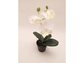 umela-rostlina-orchidea-mini-bila-23cm