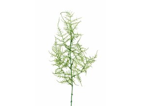 umela-dekorace-asparagus-50cm