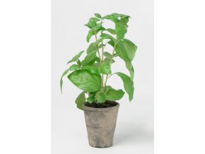 umela-rostlina-bazalka-okrasna-v-kvetinaci-38cm
