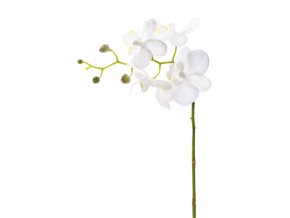 umela-kvetina-orchidea-stonek-28cm