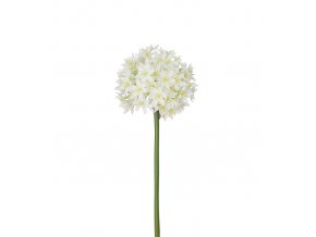 umela-kvetina-allium-cesnek-bily-90-cm