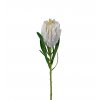 umela-kvetina-protea-bila-60cm