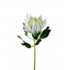 umela-kvetina-protea-bila-velkokveta-70cm