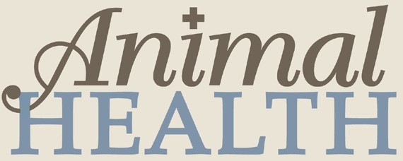 Animal Health