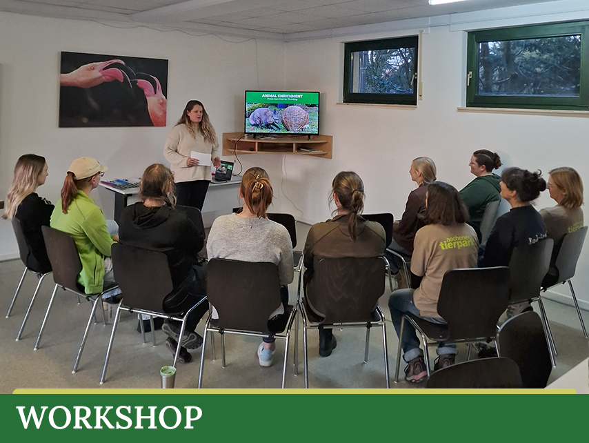 ENRICHMENT WORKSHOP