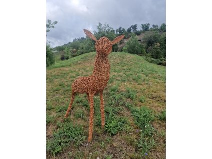 Obrázek WhatsApp, 2025 08 04 v 20.06.23 d1eee190