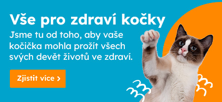 Vše pro zdraví kočky