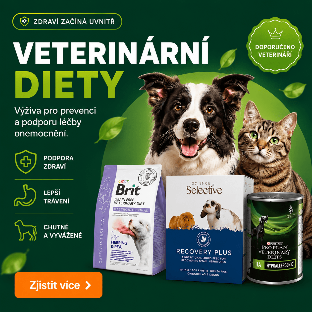 Veterinární diety