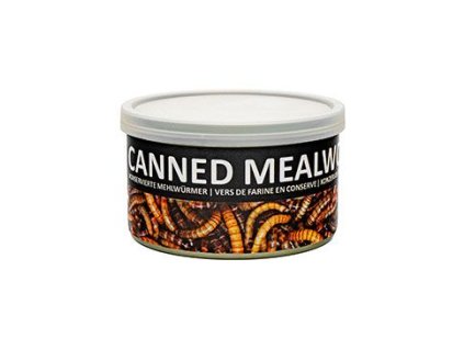 UGF sušený moučný červ konzerva 35g