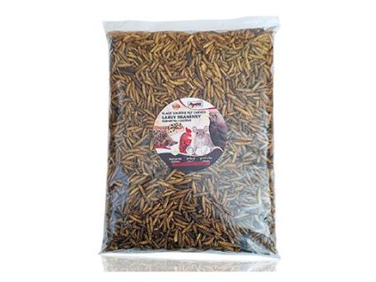 Apetit BRÁNĚNKA Black Soldier 500g