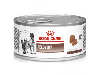 Royal Canin VD Cat/Dog konzerva Recovery 190g