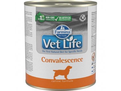 Vet Life Natural Canine konzerva Convalescence 300g