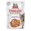 Brit Care Cat kaps, Fillets Gravy Sterilised