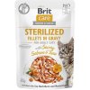 Brit Care Cat kaps, Fillets Gravy Sterilised
