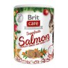 Brit Care Cat Christmas