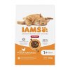 Iams Cat Adult IND Chicken