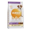 Iams Dog Puppy Small&Medium Chicken