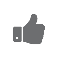 Zavedená společnost