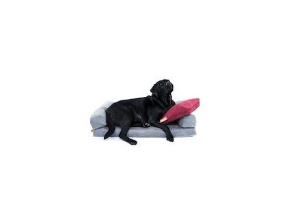 819d429a 3881 46b7 8d80 a0d2bdf67ea6 lrg