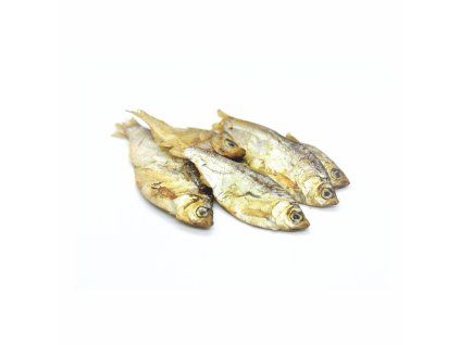 Sardinky