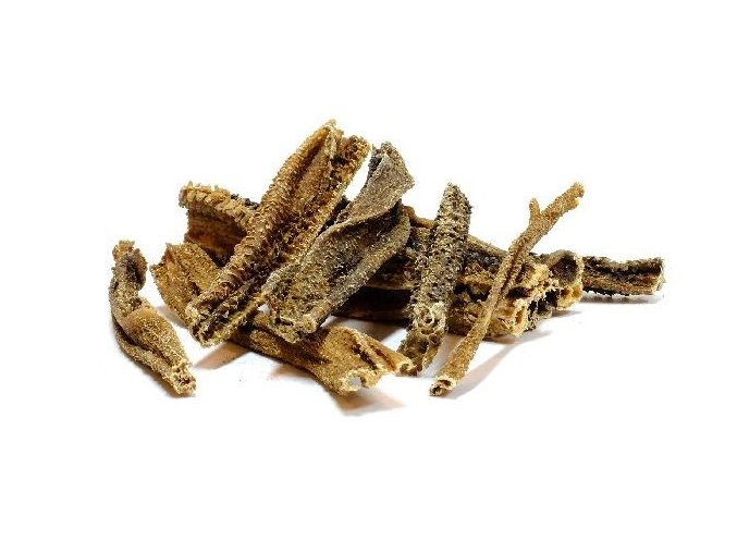 8c405d62 06f2 441c affc ac7f16ea9840 lrg