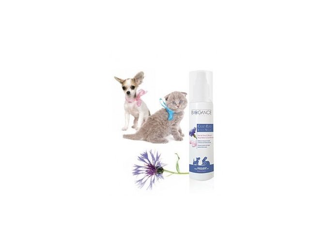 683bd64a 9831 4ebf 9e44 f4e4fbc0f089 lrg