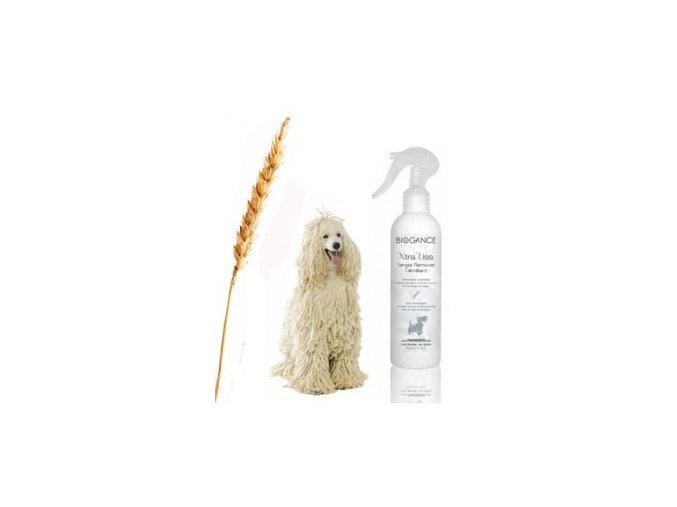 9b0b7671 e4ad 4dac b18c 9c467f96ed7b lrg